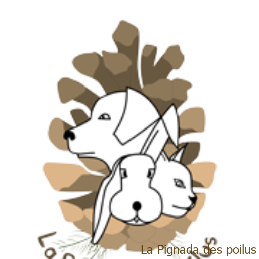 Elevage de lapin nain bélier - La Pignada des poilus